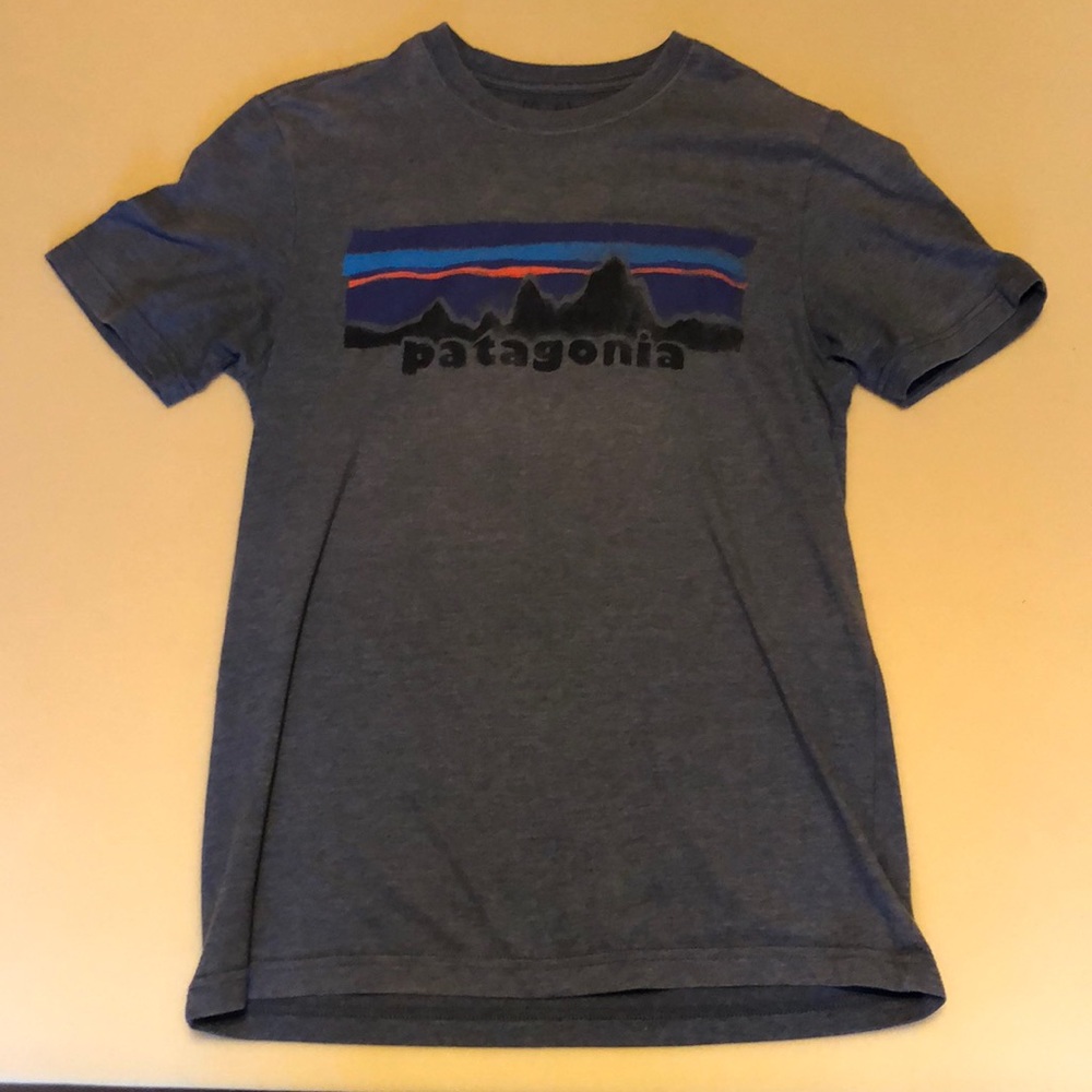 Patagonia t shirt